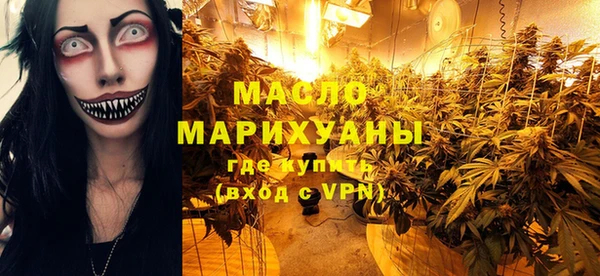 МДПВ Бородино