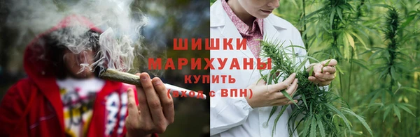 МДПВ Бородино