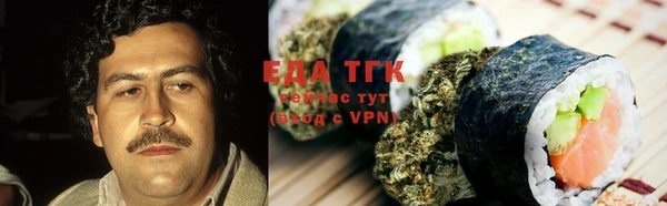 МДПВ Бородино