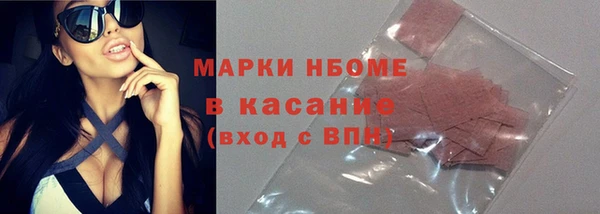 МДПВ Бородино