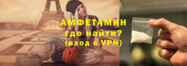 МДПВ Бородино