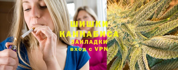 МДПВ Бородино