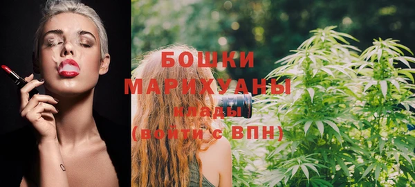 МДПВ Бородино